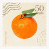 custom orange stamp